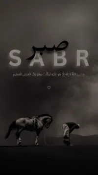 هيونداي ‏فوليستر ‏Turbo ‏2016
