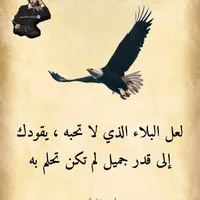 Video Games Programmer -Al Karak