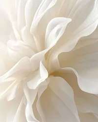 سامسونج ‏جالاكسي A16 ‏128 جيجابايت ‏أبيض