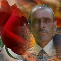 احمدالعفيفي