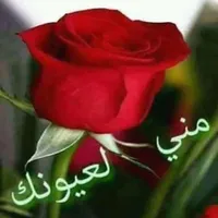 هيونداي ‏توسان ‏SE ‏2022