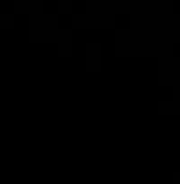 فورد تيريتوري 2021