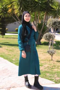 الاء سنونو