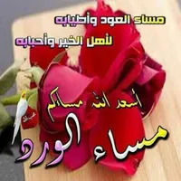 محمد ابو يوسف