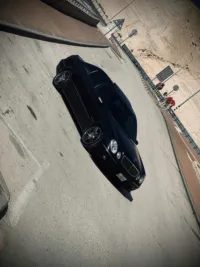 سلامه السيد احمد سيد احمد