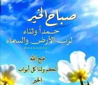 ايوب Gff