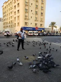 ناظر