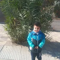 القيسي