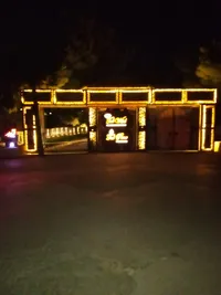 سعيد