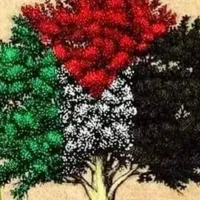 اخرى ‏غير محدد ‏128 جيجابايت ‏أزرق