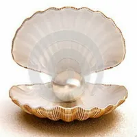 نيسان ‏نافارا ‏SE ‏2011