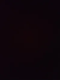 جنى العمري