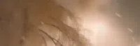 فاطمه مجهلي