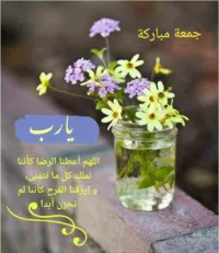 حمدي