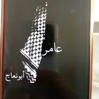 عامر علي ابو نعاج
