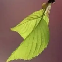 هيونداي ‏توسان ‏Limited ‏2011