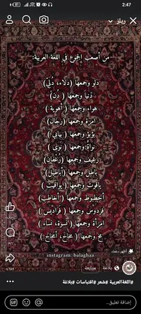 محمد عدنان عبد الرحمن يوسف