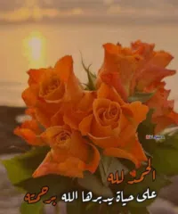 Irbid ‏Al Husn