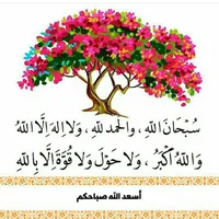 سالم  معروف