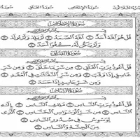 omar ali
