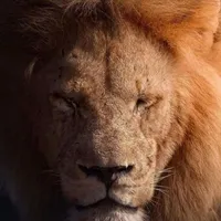 ريلمي ‏11 ‏256 جيجابايت ‏أسود