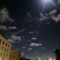سفيان حمودة