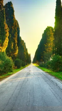 كيا ‏فورتي ‏Standard ‏2010