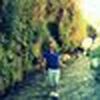 ahmad alkamel