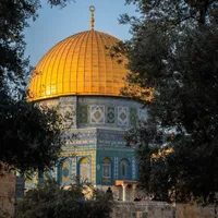 نادر علي