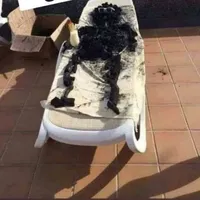 tt y