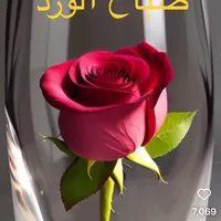 ثوب فلسطيني مستعمل عدد 2 ( عروق مع قبه )