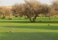 فورد ‏كراون فكتوريا ‏Sport ‏2005