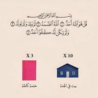 wedad sami
