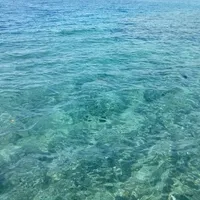 نيسان ‏صني ‏SV ‏2016