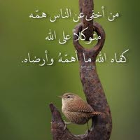 الرحال الرحال