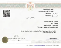 Ali Shaheen