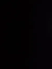 ساندرا عبد المجيد يوسف  ابو زنيد