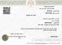 معتصم الشويات