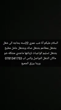 حمزه طبيشات