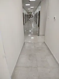 محمود ابولوحة