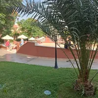 أوبو ‏A31 ‏512 جيجابايت ‏أخضر