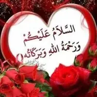 0790484341،AMER0 0790484341 عمرو مخ