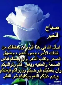 أبو شادي
