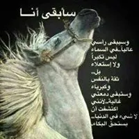 b0c77ade-aa31-41b9-ba02-159716c8f5ff