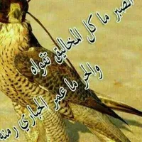 محمد عواد الطفيلي