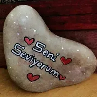محمد بني سلامه