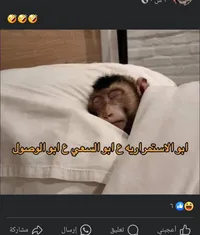 نجلاء رمضان