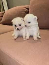 image0