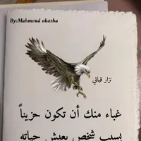 اسامه الكردي