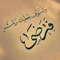 محمود المجالي